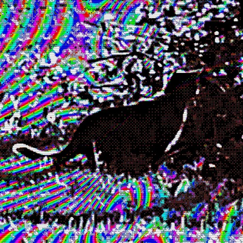 Extra Dimensional Research Phase 3
