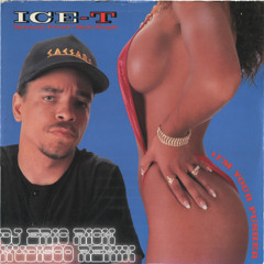 Ice T - I'm Your Pusher (Nudisco Remix)