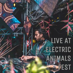 Javier Portilla @ Electric Animals Fest (Closing Set)