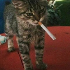 Molested ft. Toa$ter