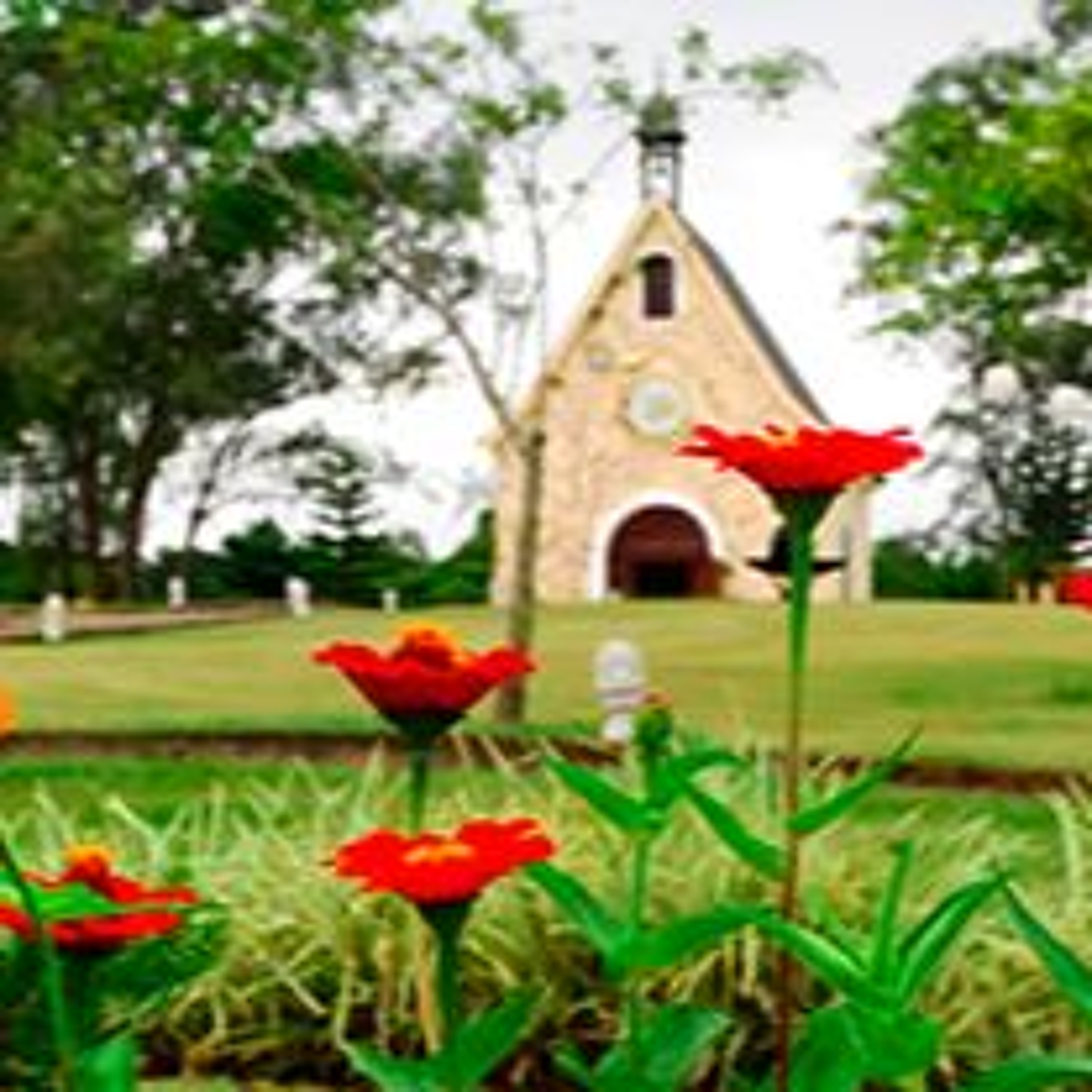 Programa Santuário Vivo 27-12-2025