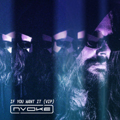 If You Want It (VIP)