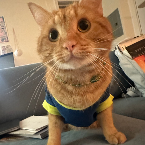 making beads necklace and mixing experimental house music in Chicago