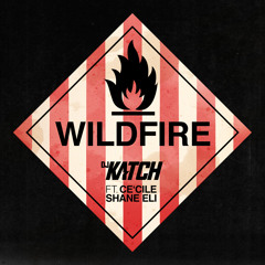 Wildfire (feat. Cecile & Shane Eli)