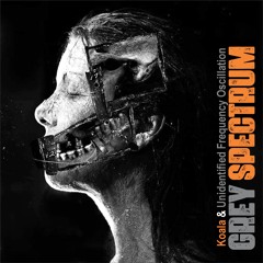 Grey Spectrum (Koala & UFO Original Mix)