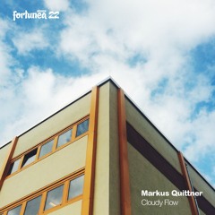 PREMIERE : Markus Quittner - Sunbeams At Night