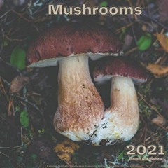 ❤️ Download Mushroom 2021: 12 Month Wall Calendar Calming Aesthetic Landscapes Featuring Morrels