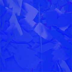 Løse hunde (sæt dem i snor)