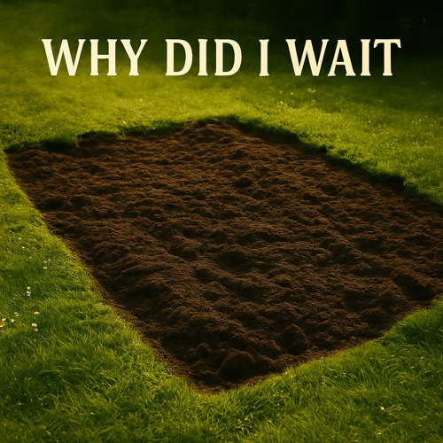 Why Did I Wait