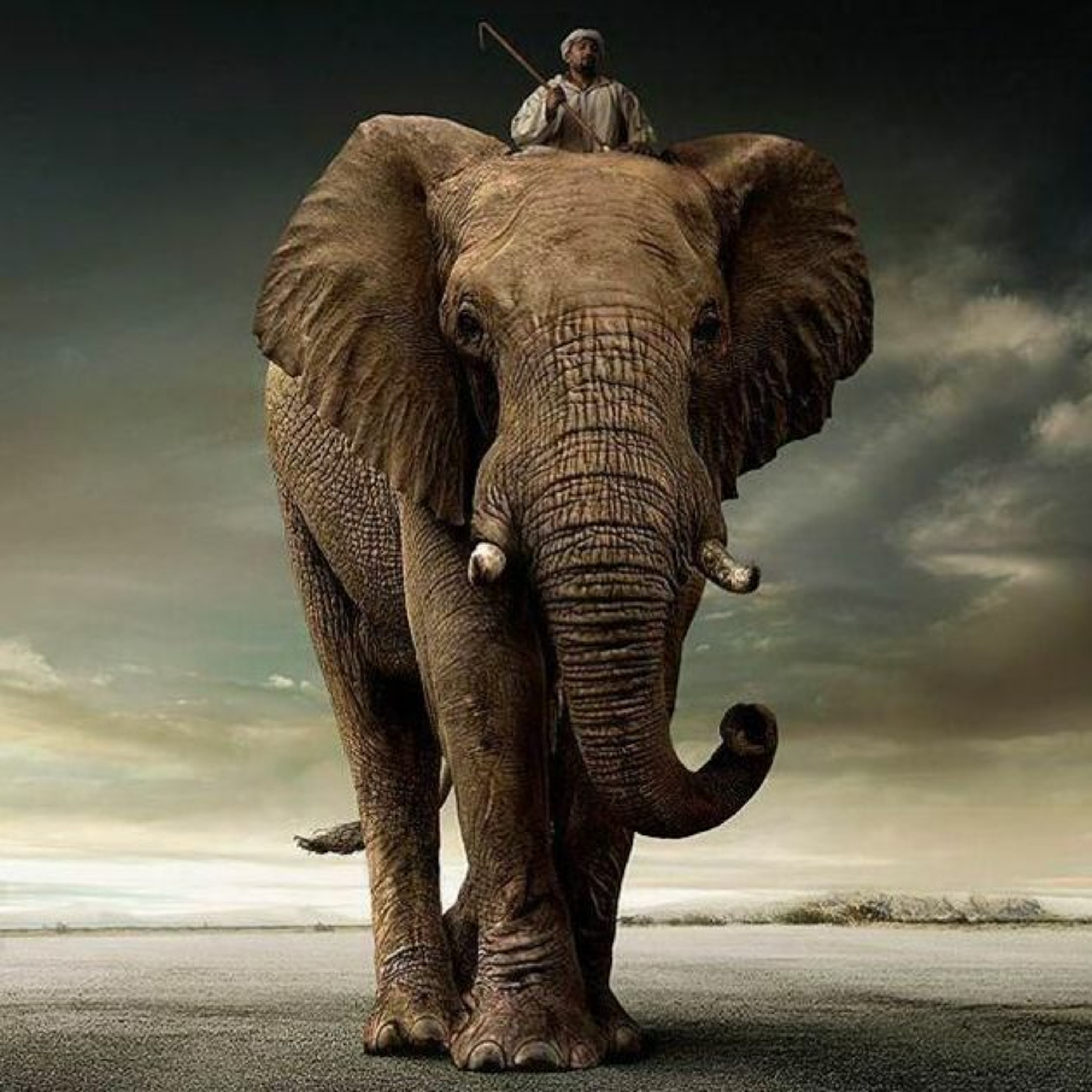 Sanningsministeriet - Ordbävning i lyckolandet