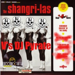 'Walkng in the Sand' DJ Pyrate D&B Remix