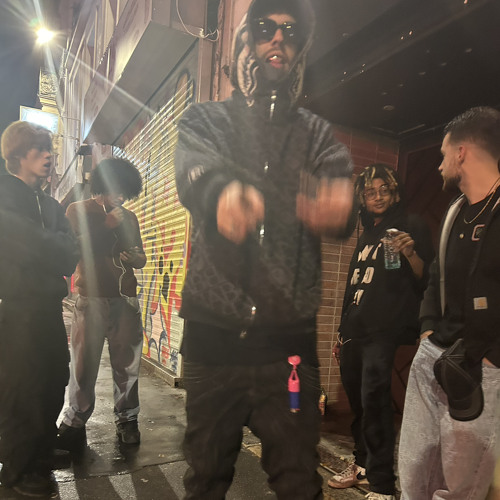 Plug Fr 1