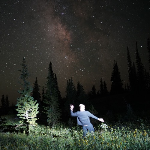 "Are You Pinned, Like A Moth?" [2021]