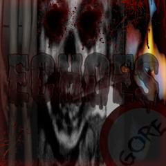 ECHOES (feat.lukszak)