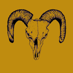 J.Cub Live Recording at Ynyshir October 21st 2025