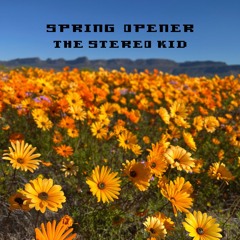 SPRING OPENER