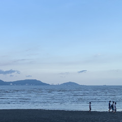củi ngủ tàu lượn kem ký