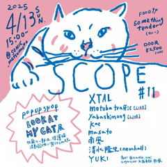 Scope at Sonic Apr.13th.2025