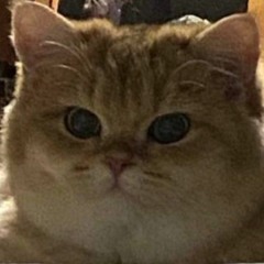 ПРОЧЬ Pyrokinesis Кокаинеточка