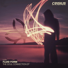 Fluid Form - Southern Fried Soul