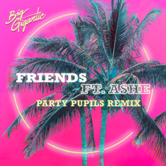 Big Gigantic featuring Ashe - Friends (Party Pupils Remix)