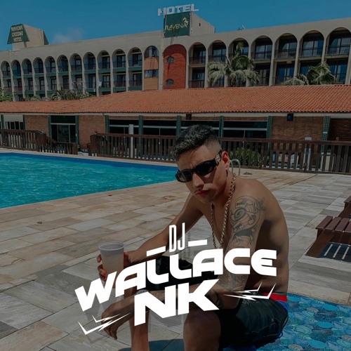 VAI SENTANDO COM VONTADE X SENTA NO COLO DO BICHO (DJ WALLACE NK)