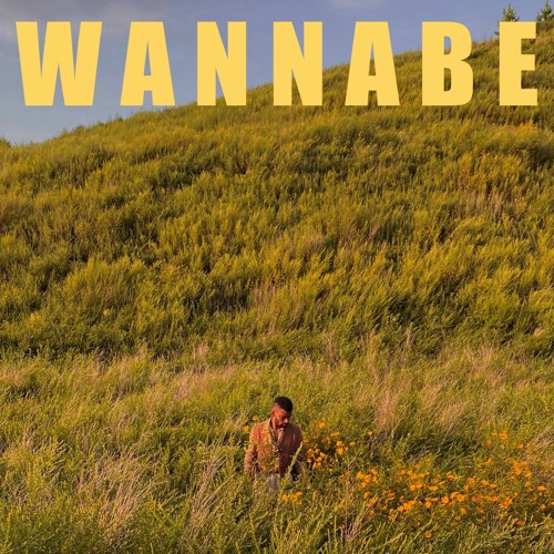 Wannabe (prod. Musa)