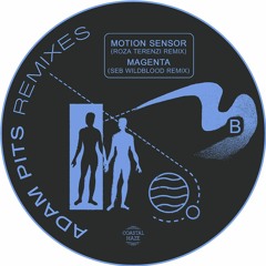 Adam Pits - Motion Sensor (Roza Terenzi Remix)