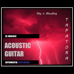 Sky is Bleeding ( experimental - acoustic guitar ) - Lyrics