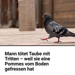 es war nur eine Pommes