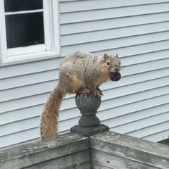 y wud u do tht?