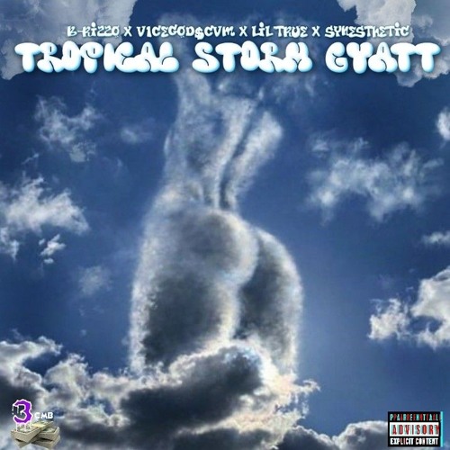 Tropical Storm Gyatt [Explicit] Ft. B-RizzO x V1CEGOD$CVM x Lil'True(OGMars)  [Prod. By Synesthetic]
