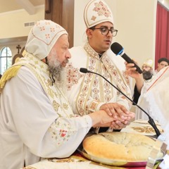 The Confession - H.E. Metropolitan Youssef, Fr. Maximus Wahba