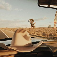 taylor swift - cowboy like me (cover)