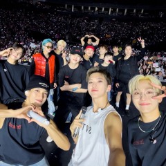 세븐틴 응원법