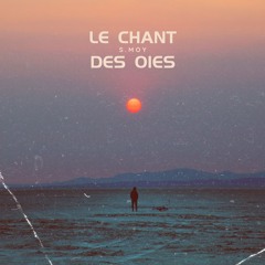 le chant des oies -s.moy (prod. Ray haring)