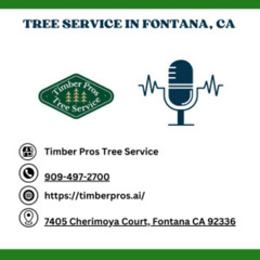 how-can-you-save-money-on-tree-removal-services-in-fontana-California