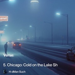 5.-chicago:-cold-on-the-lake-shore-drive 2.