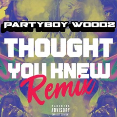 Thought You Knew ( remix)