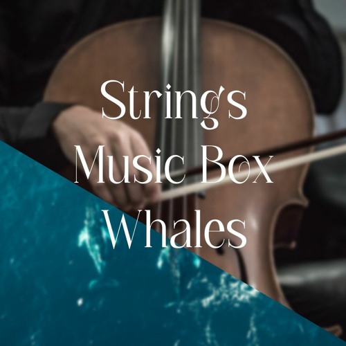 Stream Meditation Track Sample Strings / Music box + Whale sounds by