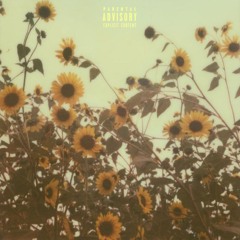 Q&A (Slowed + Reverbed)