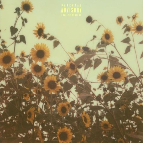 Q&A (Slowed + Reverbed)