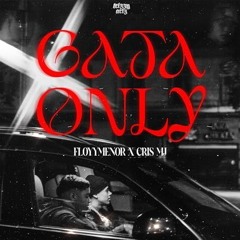 GATA & KOMPA PASSION (Newskine Remix)