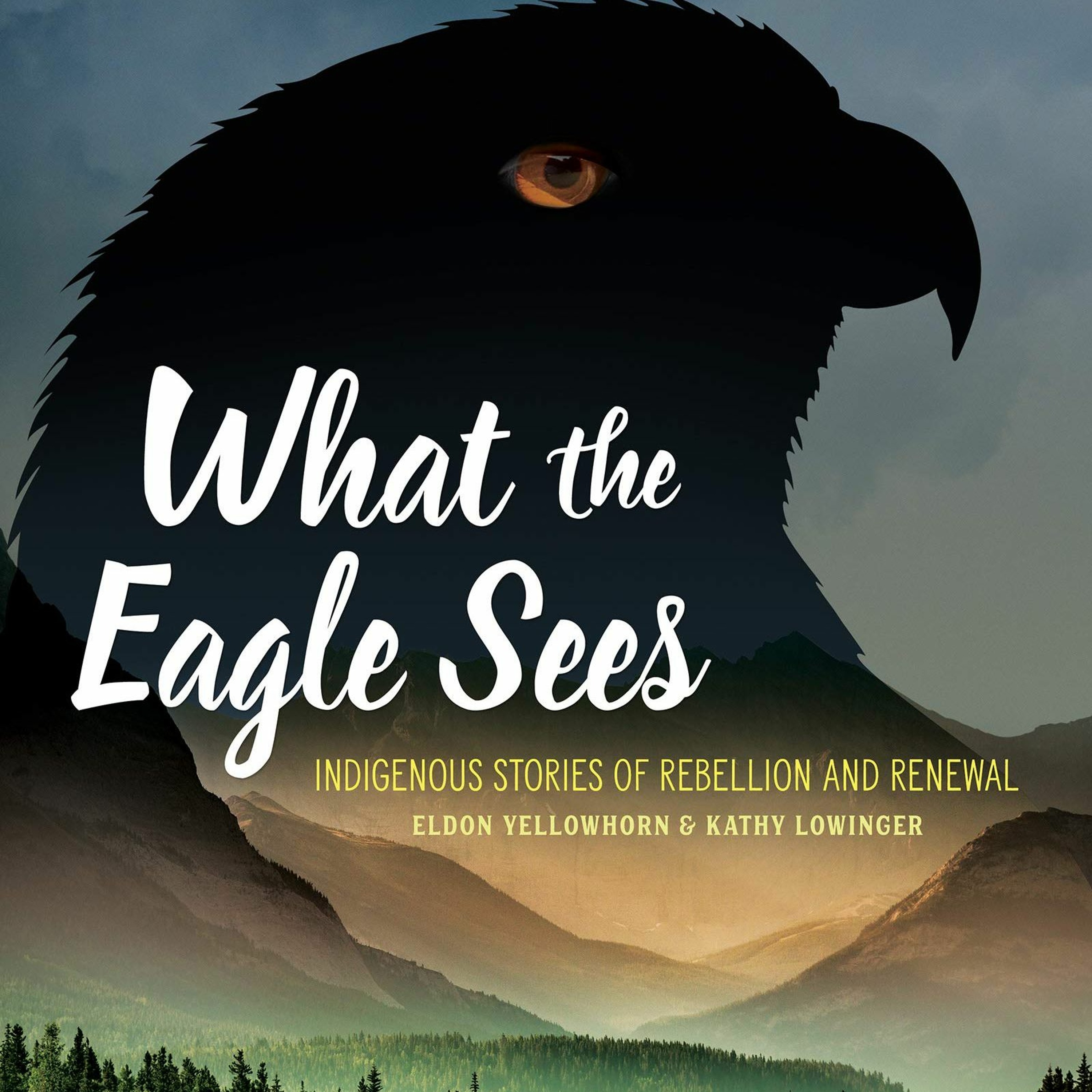 Writing the Coast: BC and Yukon Book Prizes Podcast