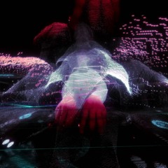 Bioroïde 002 | ELIPSØN