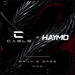 Drum And Bass Mix 4 (CASLE B2B HAYMO)