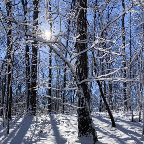 finding myself in being alone