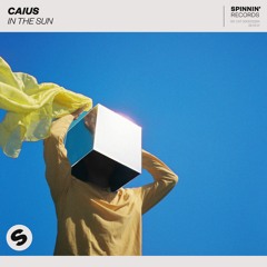Caius - In The Sun [OUT NOW]