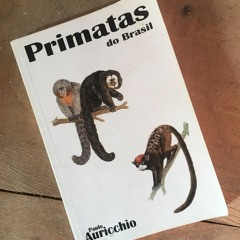 Callicebus Nigrifrons Call