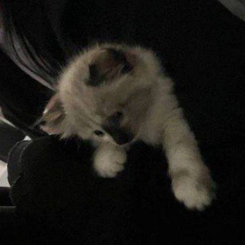 어떻게 잊어 너를